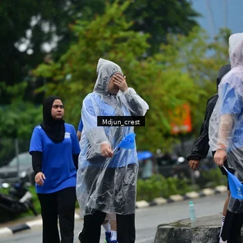 Runner Photo 7831371