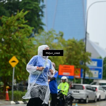Runner Photo 7831709