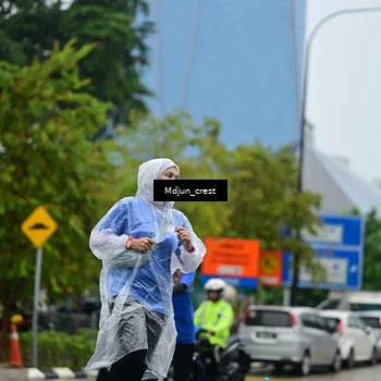 Runner Photo 7831716