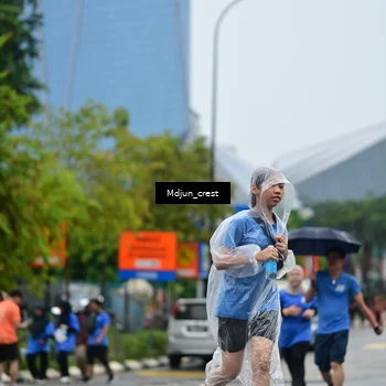 Runner Photo 7831906
