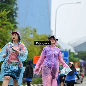 Runner Photo 7834177