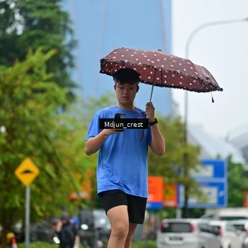 Runner Photo 7834299