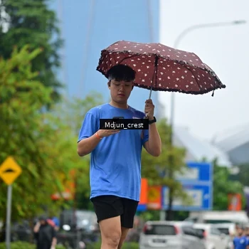 Runner Photo 7834311