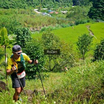 Runner Photo 78385