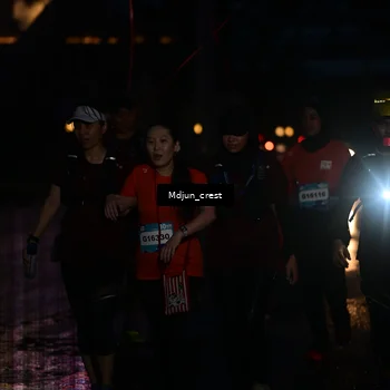 Runner Photo 7844811