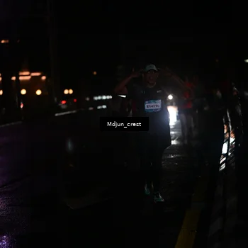 Runner Photo 7845298