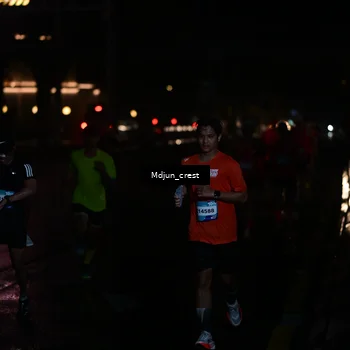 Runner Photo 7845431
