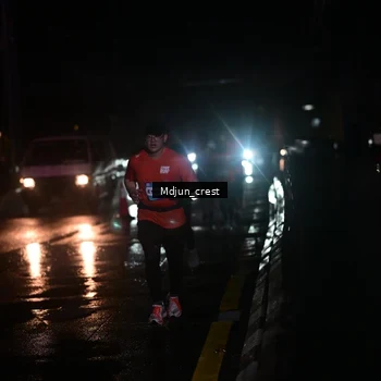 Runner Photo 7845994