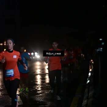 Runner Photo 7846060