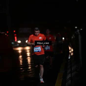 Runner Photo 7847401