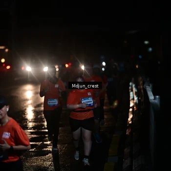 Runner Photo 7847756