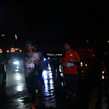 Runner Photo 7848041