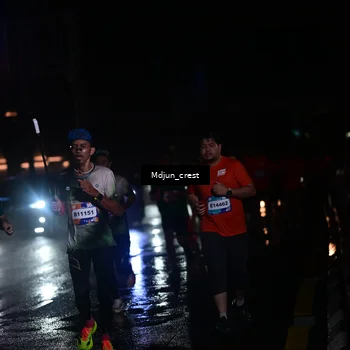 Runner Photo 7848061