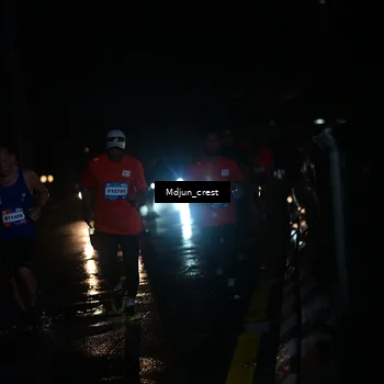 Runner Photo 7848256
