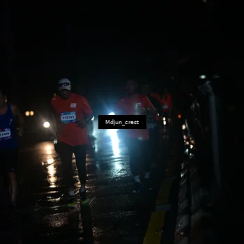 Runner Photo 7848259
