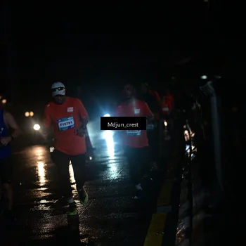 Runner Photo 7848270