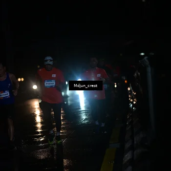 Runner Photo 7848350