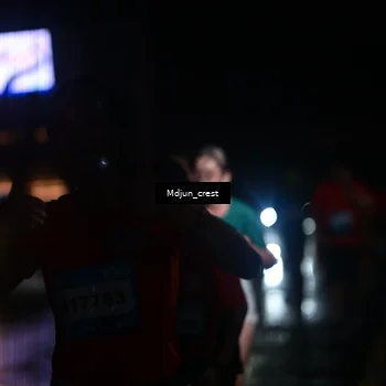 Runner Photo 7848369