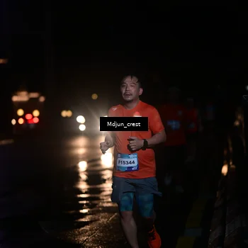 Runner Photo 7849889