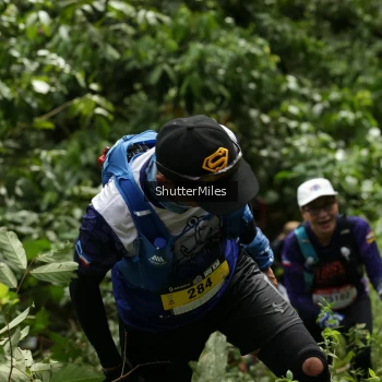 Runner Photo 78505