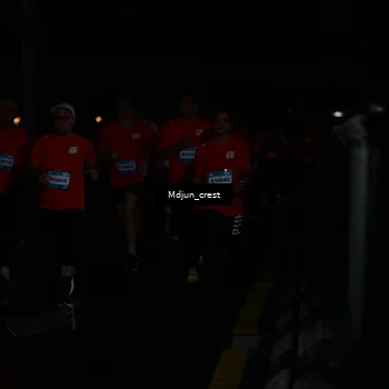 Runner Photo 7851185