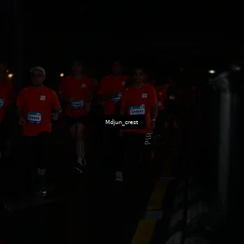 Runner Photo 7851205