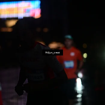 Runner Photo 7851541