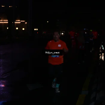 Runner Photo 7851846