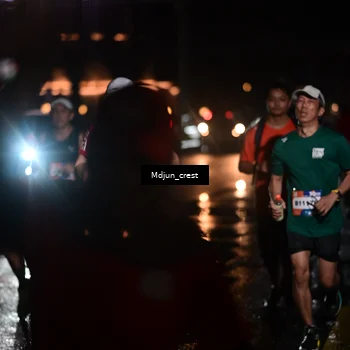 Runner Photo 7852445