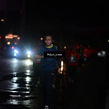 Runner Photo 7853949