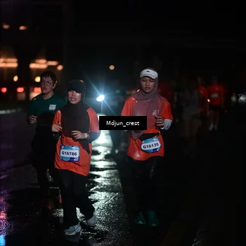 Runner Photo 7854493