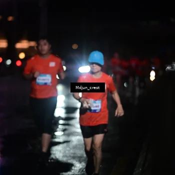 Runner Photo 7854640