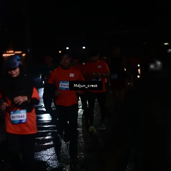 Runner Photo 7856027