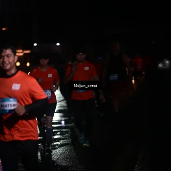 Runner Photo 7856053