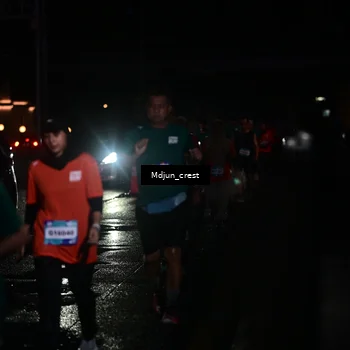 Runner Photo 7856820