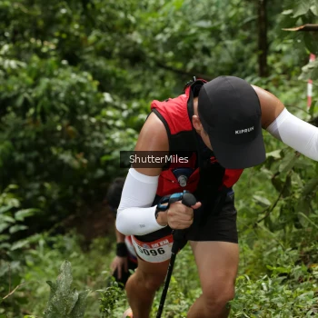 Runner Photo 78577