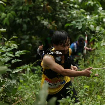 Runner Photo 78599