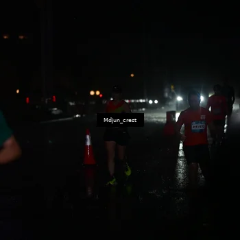Runner Photo 7863603