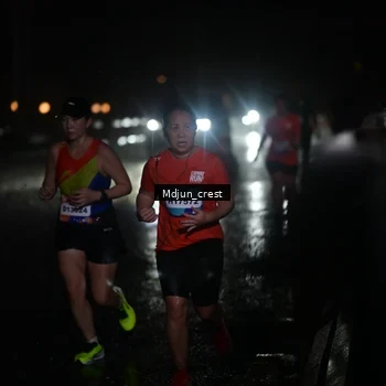 Runner Photo 7863621