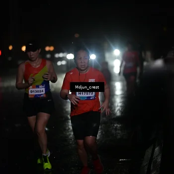 Runner Photo 7863627