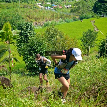 Runner Photo 78645