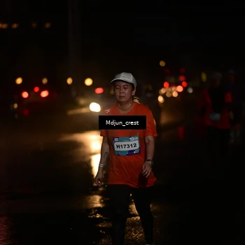 Runner Photo 7865115