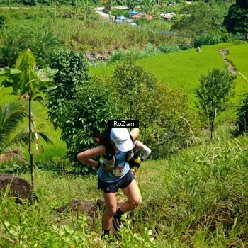 Runner Photo 78652