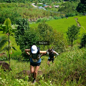 Runner Photo 78660