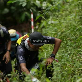 Runner Photo 78679