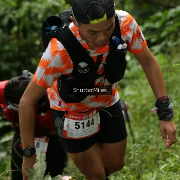 Runner Photo 78745