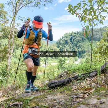 Runner Photo 78762