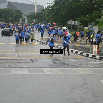 Runner Photo 7880369
