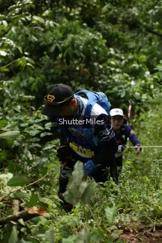 Runner Photo 78865