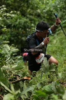 Runner Photo 79010